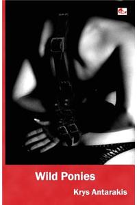 Wild Ponies
