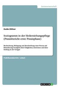 Soziogramm in der Heilerziehungspflege (Praxisbericht erste Praxisphase): Beobachtung, Befragung und Beschreibung einer Person mit Behinderung bezüglich ihrer Tätigkeiten, Interessen und ihrer Stellung in der Gruppe