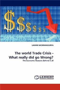 world Trade Crisis - What really did go Wrong?
