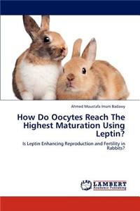 How Do Oocytes Reach the Highest Maturation Using Leptin?