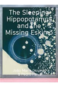 João Maria Gusmão & Pedro Paiva: The Sleeping Hippopotamus and the Missing Eskimo