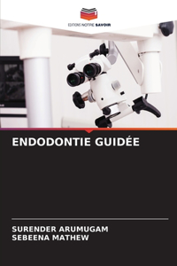 Endodontie Guidée