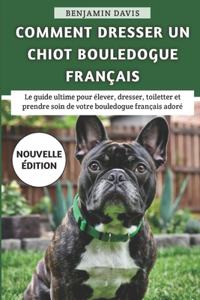 Comment Dresser Un Chiot Bouledogue Français