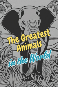 Greatest Animals in the World