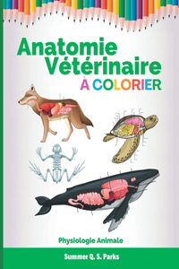 Anatomie Vétérinaire à Colorier