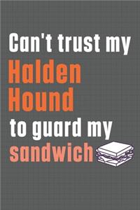 Can't trust my Halden Hound to guard my sandwich
