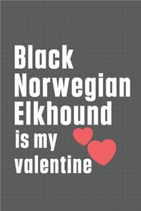 Black Norwegian Elkhound is my valentine