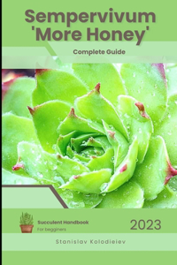 Sempervivum 'More Honey'