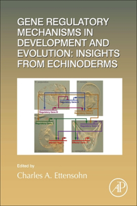 Gene Regulatory Mechanisms in Development and Evolution: Insights from Echinoderms