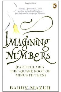 Imagining Numbers: (Particularly the Square Root of Minus Fifteen)