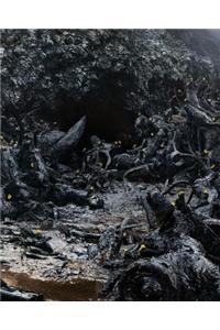 Simen Johan: Until the Kingdom Comes