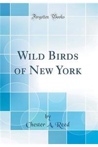 Wild Birds of New York (Classic Reprint)