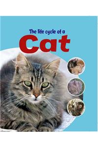Learning About Life Cycles: The Life Cycle of A Cat