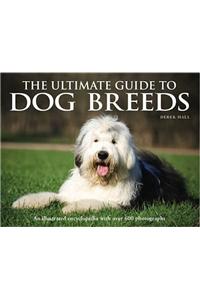 Ultimate Guide to Dog Breeds