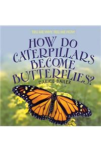 How Do Caterpillars Become Butterflies?