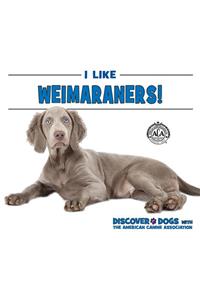 I Like Weimaraners!