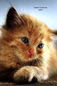 Chaton Carnet de notes