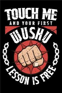 Touch Me And Your First Wushu Lesson Is Free