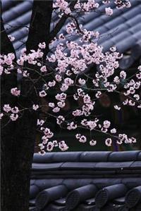 Blooming Cherry Blossom Tree in Korea Journal