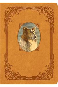 Lassie Come-Home: Collector's Edition