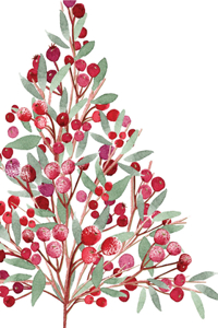 Festive Bough Small Boxed Holiday Cards (20 Cards, 21 Self-Sealing Envelopes)