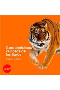 Características Curiosas de Los Tigres