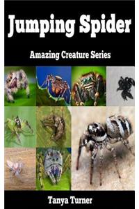 Jumping Spider