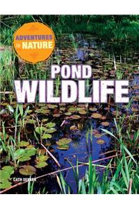 Pond Wildlife