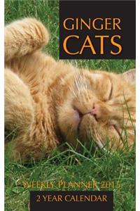 Ginger Cats Weekly Planner 2015: 2 Year Calendar