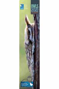 RSPB OWLS SLIM CALENAR 2021