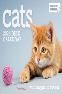 2026 Cats Mini Box Calendar