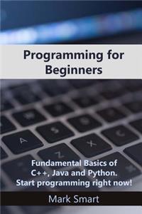 Programming for Beginners