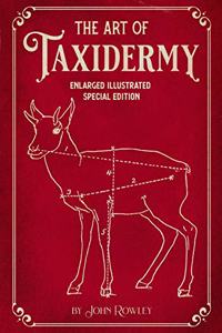 The Art of Taxidermy