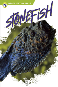 Stonefish