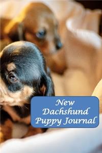 New Dachshund Puppy Journal