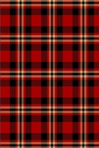 2020 Daily Planner Lumberjack Plaid Tartan Red Black Tan 388 Pages