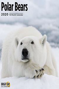 POLAR BEARS WALL CALENDAR 2020
