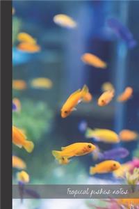 Tropical Fishes Notes