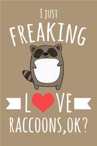 I Just Freaking Love Raccoons, OK?