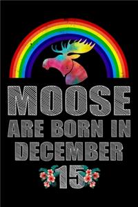 Moose Are Born In December 15