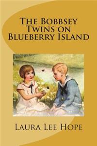 The Bobbsey Twins on Blueberry Island