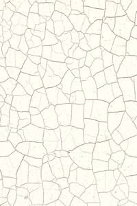 Cracked Paint Pattern Journal