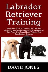 Labrador Retriever Training: Beginners Guide to Training Your Labrador Retriever Puppy, Leash Training, Potty Training, Sit, Stay, Fetch, Drop, Puppy Home Training and Socialization Training