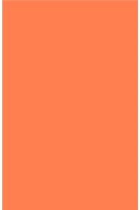 Coral Notebook