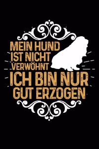 Nicht Verwöhnt (Ckc Spaniel)