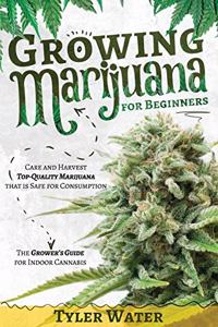 Growing Marijuana for Beginners
