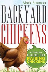 Backyard Chickens