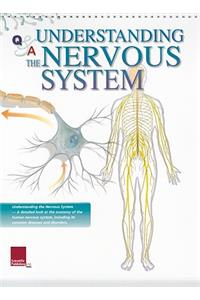 Understanding the Nervous System Flip Chart