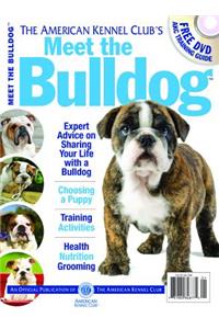 Meet the Bulldog