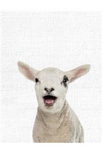 Cute Animal Composition Book Sheep